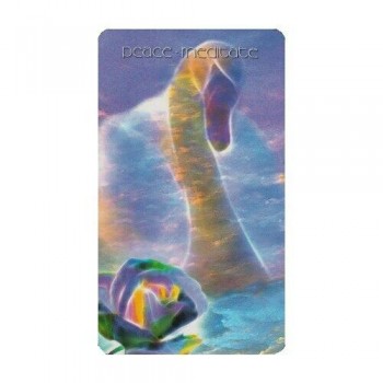 Healing Light and Angel Cards Taro Kortos Schiffer Publishing